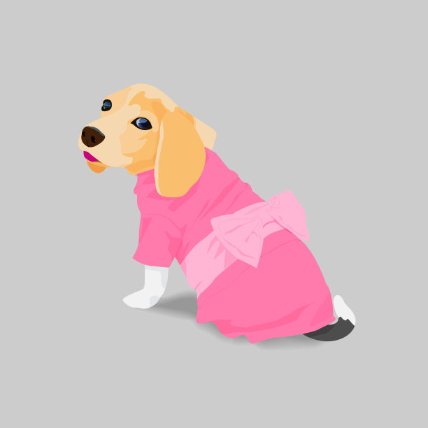 穿着粉红色裙子的可爱小猎犬图片下载
