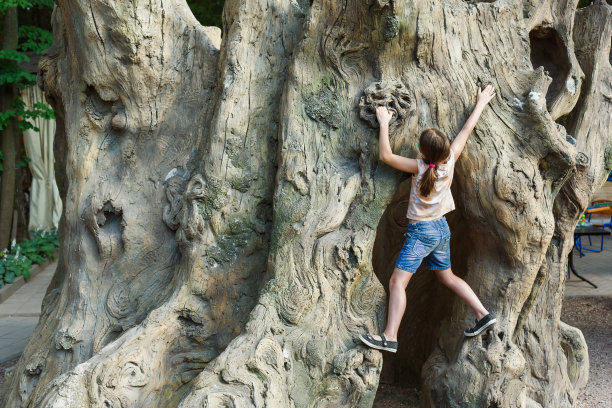 小女孩在户外爬树图片下载