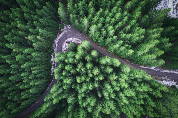 无人驾驶飞机在森林里拍摄的空旷道路图片下载