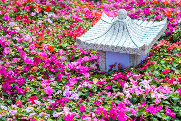 室外花园中的中国灯笼。图片下载