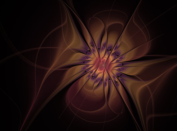 美丽的软分形花在黑暗的背景图片下载