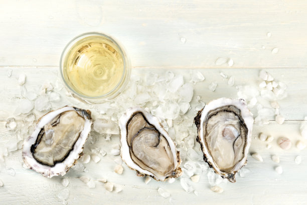 头顶上的牡蛎与葡萄酒和复制空间的照片图片下载