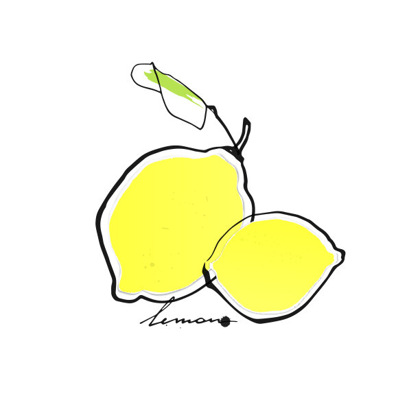 纸上的柠檬，被墨水包围。手绘矢量图。图片下载