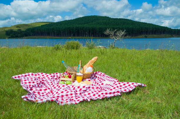 野餐的好概念图片下载