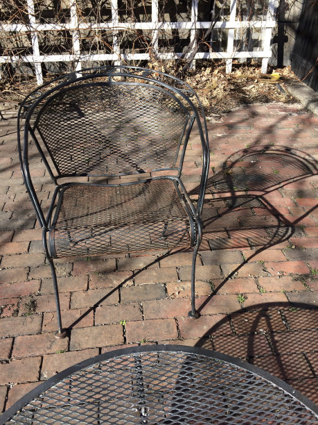 IMG_0494 Salem,马图片下载