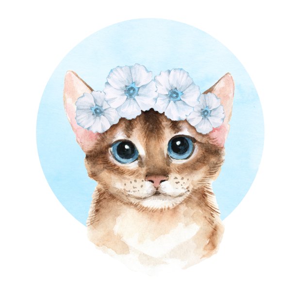 戴着蓝花环的猫图片下载