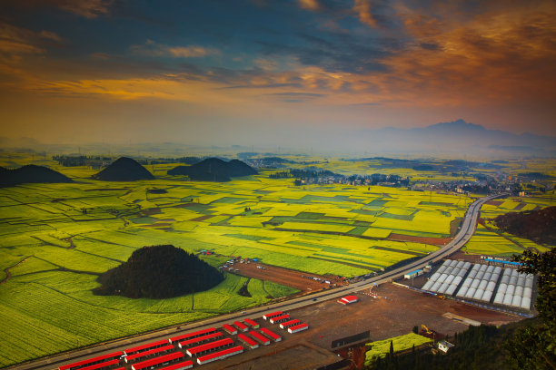 油菜地与日出图片下载