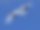 丹顶鹤照片素材ID：313507170