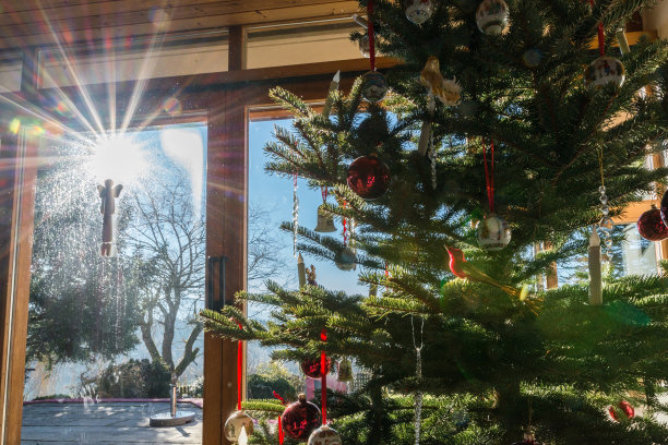 阳光与美丽装饰的圣诞树图片下载