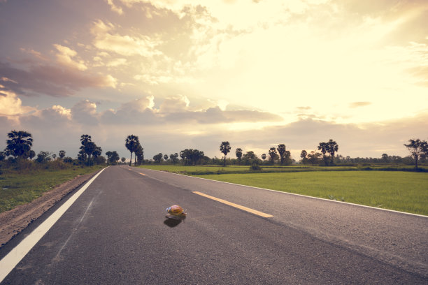 蜗牛慢慢地爬过马路。图片下载