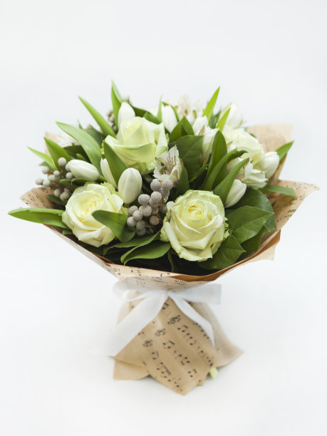 白玫瑰图片下载