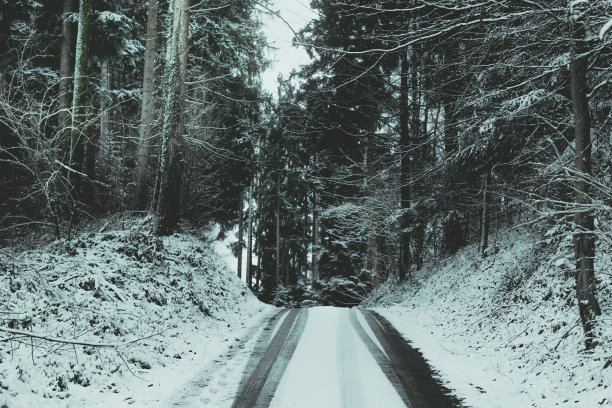 雪迹进入冬季森林图片下载