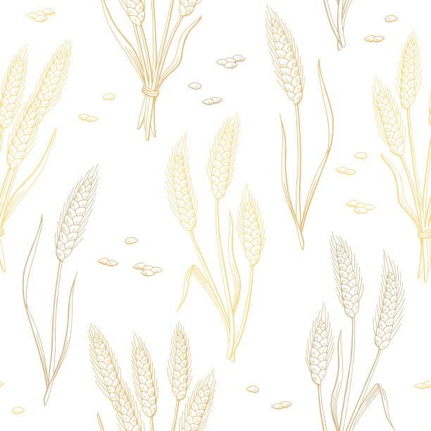 小麦图形颜色无缝模式草图插图矢量图片下载