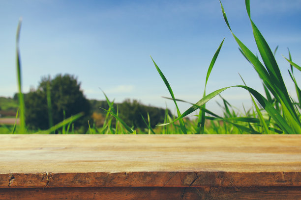 空的乡村桌子前低角度的新鲜的草。产品展示和野餐概念。图片下载