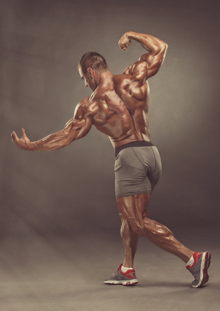 强大的肌肉发达的男性图片下载