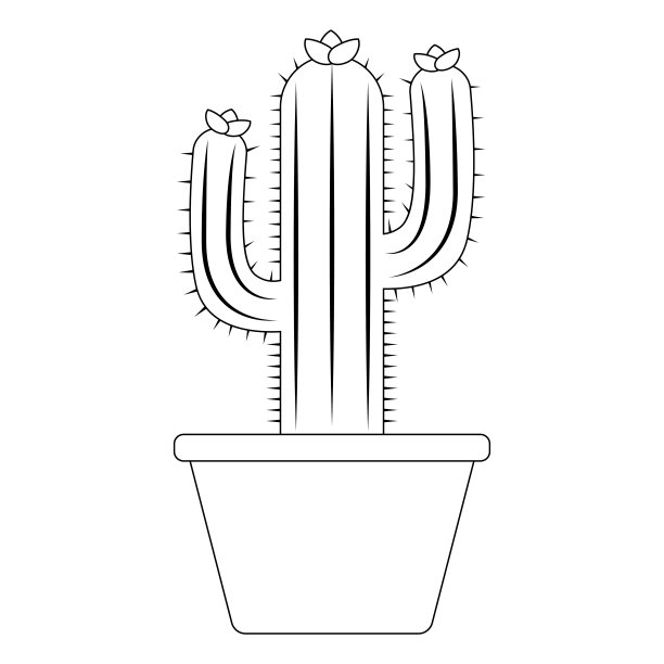 抽象的可爱的仙人掌图片下载