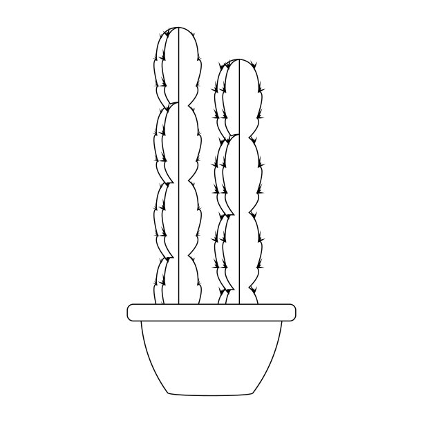 抽象的可爱的仙人掌图片下载