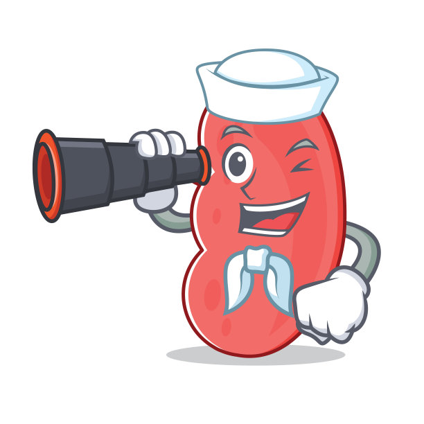 水手用双目肾脏卡通风格的吉祥物图片下载