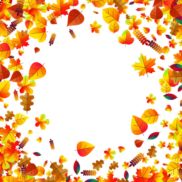 秋叶散落的背景。橡树、枫木和花楸素材图片