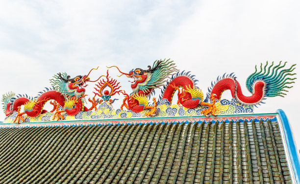 红龙图片下载