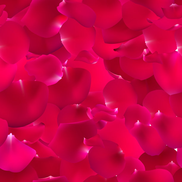 无缝图案与玫瑰花瓣。图片下载