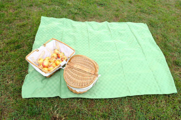 草地上铺着绿色桌布图片下载