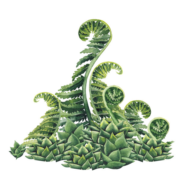 水彩史前植物图片下载
