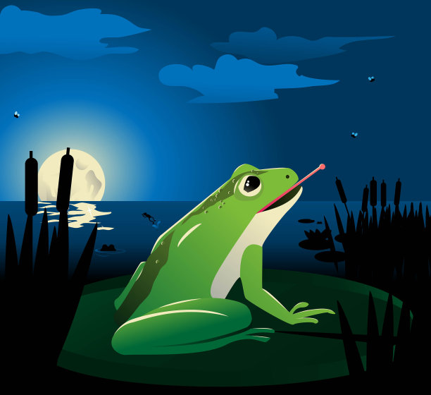 青蛙在莉莉池塘图片下载