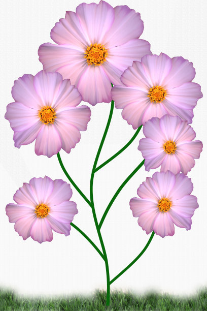 种植开花植物图片下载