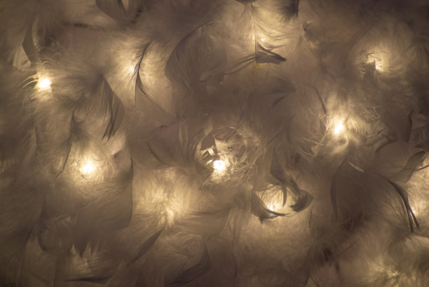 灯光和羽毛背景图片下载