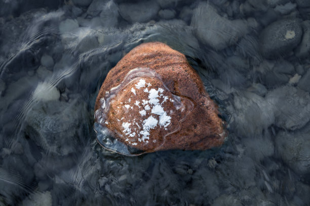 石头在河图片下载