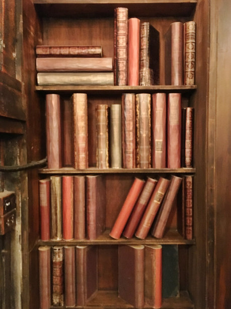 图书馆里装满书的古老神秘的木橱柜图片下载
