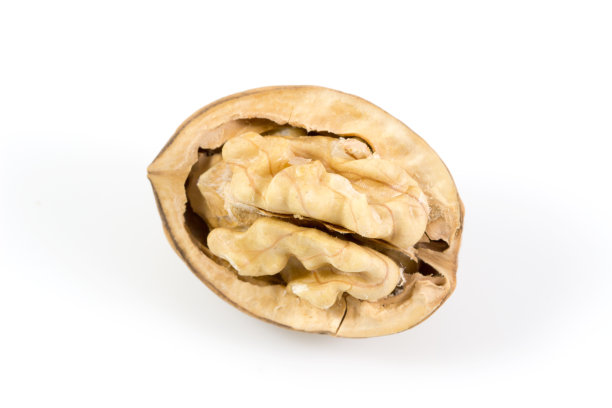核桃，核桃孤立，核桃仁在白色背景，与修剪路径。图片下载