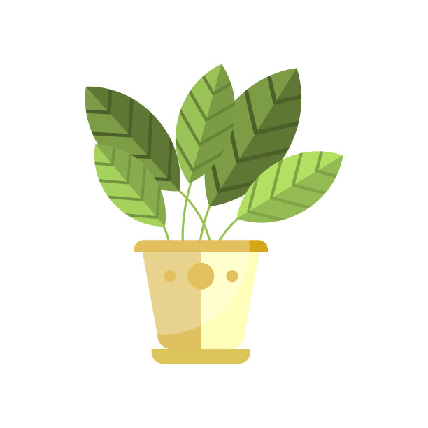 鸡冠室内植物，室内盆栽花卉，典雅家居装饰矢量插画图片下载