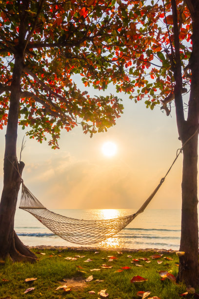 日出时分，海滩和海边的吊床图片下载