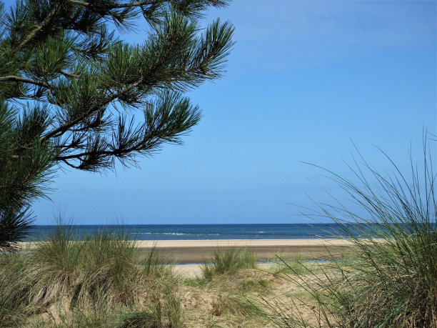 夏天的海滩图片下载