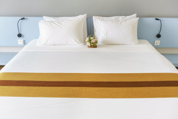 豪华现代舒适的双人卧室在乡村，泰国图片下载