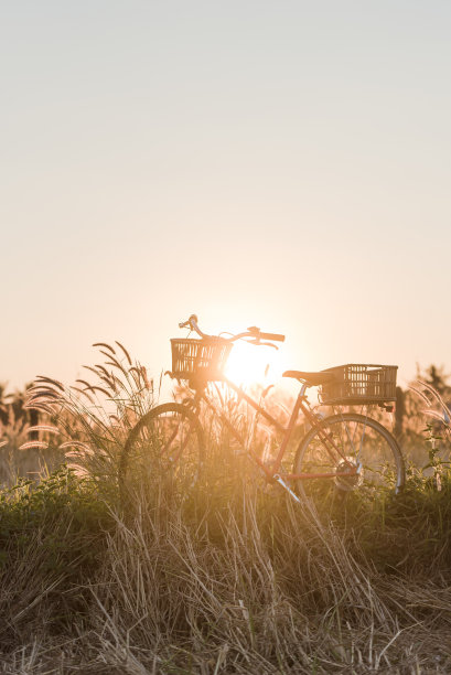 日落时分骑自行车;古董过滤器风格图片下载