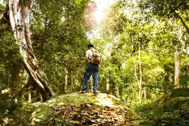 这位时髦的徒步旅行者背着背包走在森林里，拿着三脚架上的相机拍照。徒步旅行的概念。图片下载