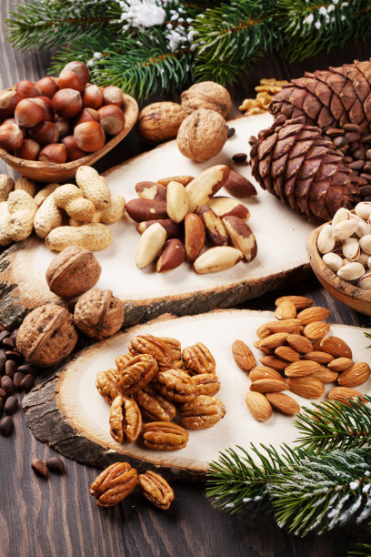 各种坚果图片下载