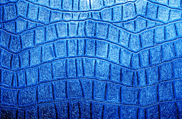 鳄鱼皮纹理背景图片下载