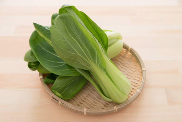 小白菜(白菜)图片下载