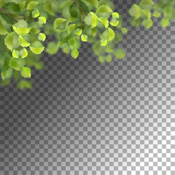 叶子矢量图素材ID：313647132