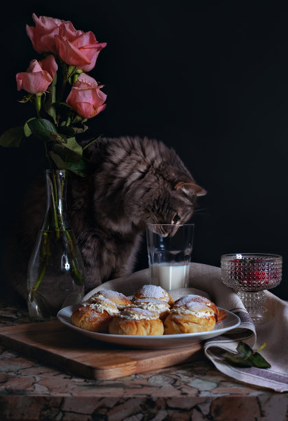 有趣的猫在一个舒适的室内摆姿势和品尝牛奶图片下载