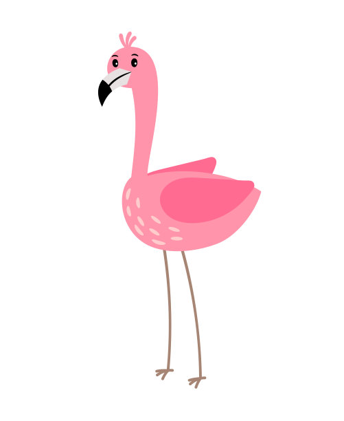 粉红色的火烈鸟鸟图片下载