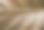 变形叶子特写镜头。秋叶纹理微距照片。黄叶脉图案。图片下载