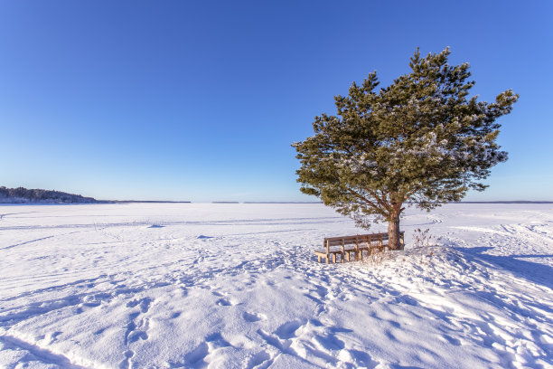 奥卢湖的冬季景观。自动化Kajaani,芬兰。图片下载