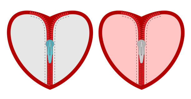 心与拉链。矢量隔离套心拉链。图片下载