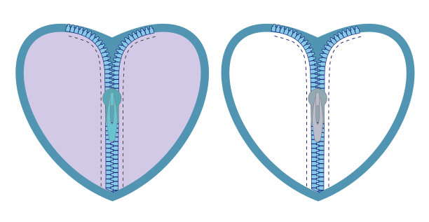 心与拉链。矢量隔离套心拉链。图片下载