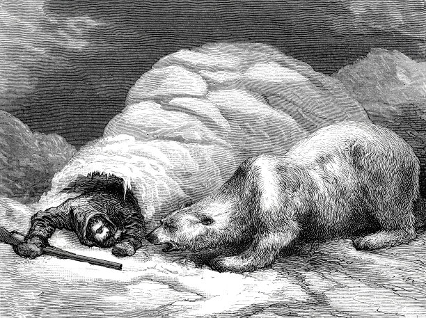 一个北极探险者和一只鼻子对着鼻子躺着的北极熊图片下载